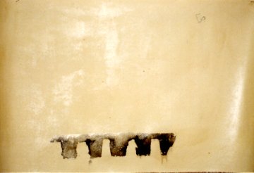 025 (4)